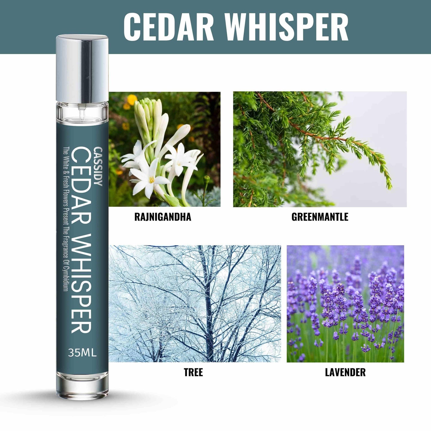 CASSIDY Cedar Whisper Perfume, 35ml.( Pack of 2) 0c2542-3a