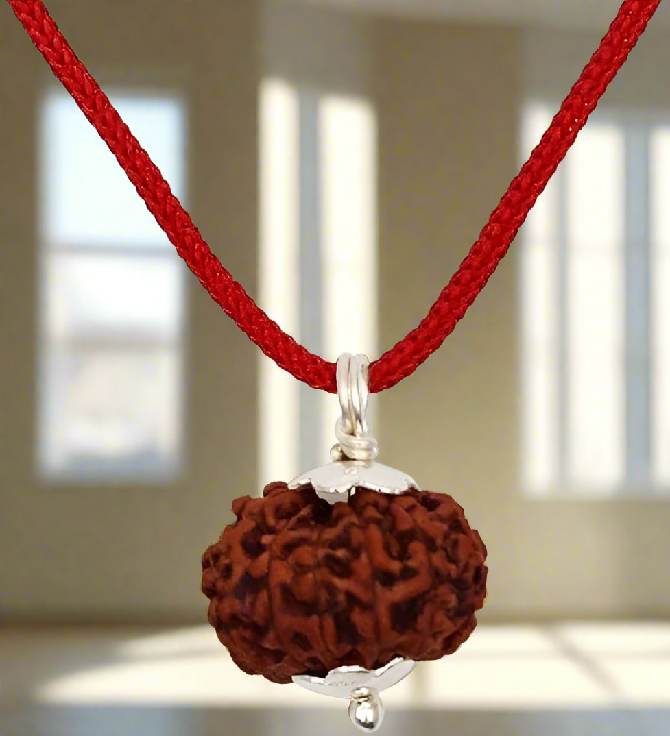 7 Mukhi Rudraksha Silver Capped Pendant